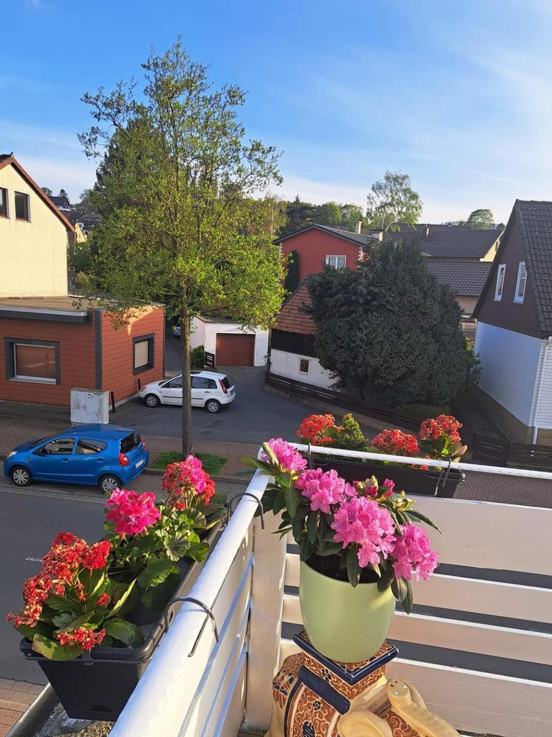 Fewo Im Harz Bad Harzburg Buitenkant foto